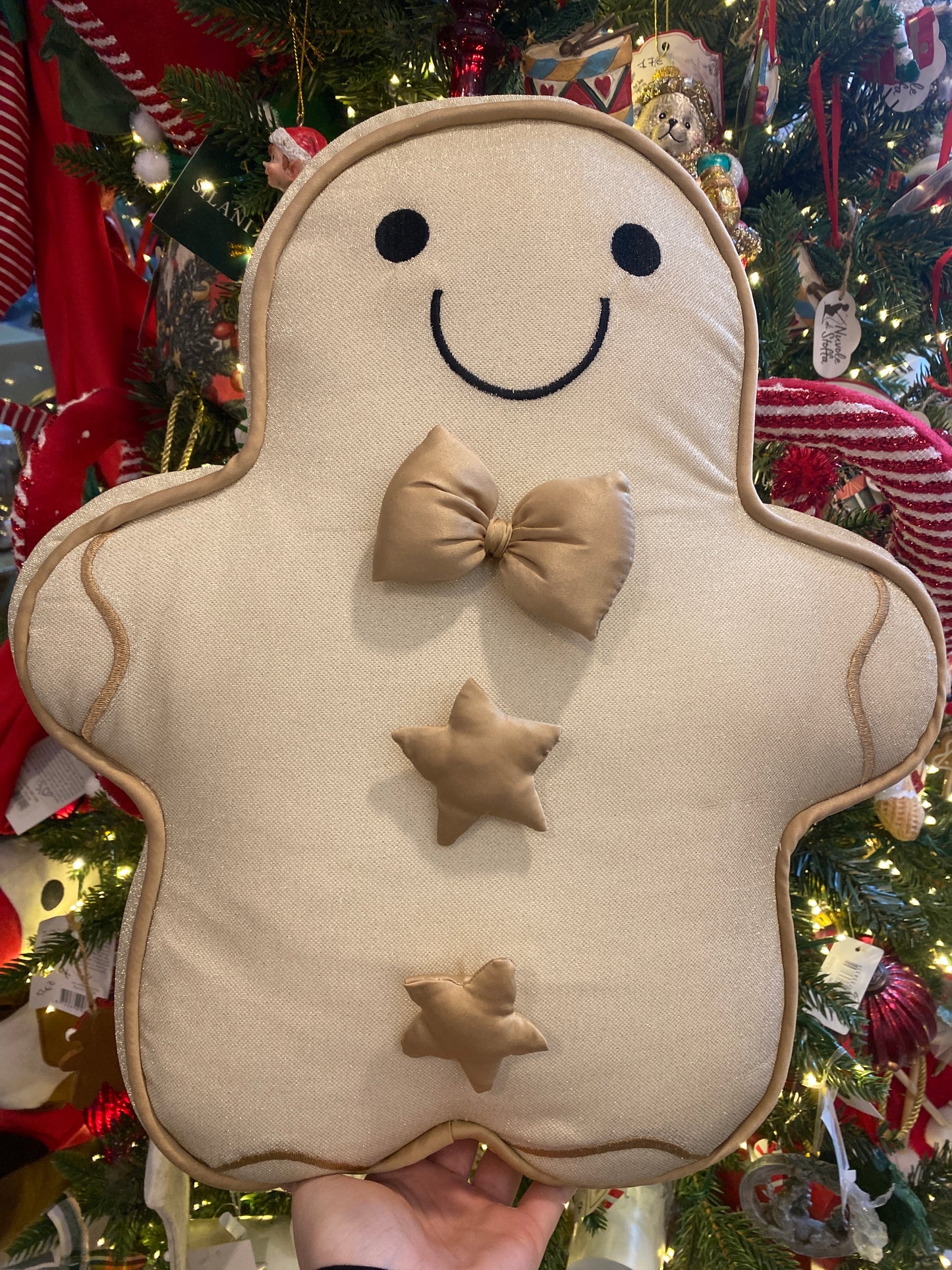 Cuscino Ginger bread