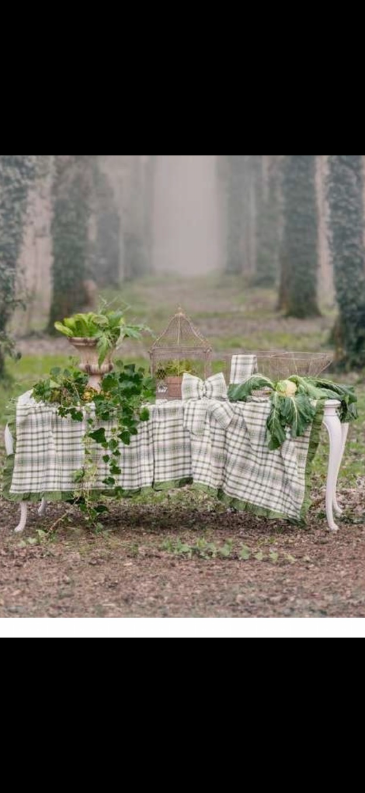 Blanc Mariclò Collezione Foresta Nobile Tovaglia 150 x 280 cm con gala 5cm