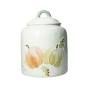 BARATTOLO ZUCCHE DOLOMITE 50108 BRANDANI