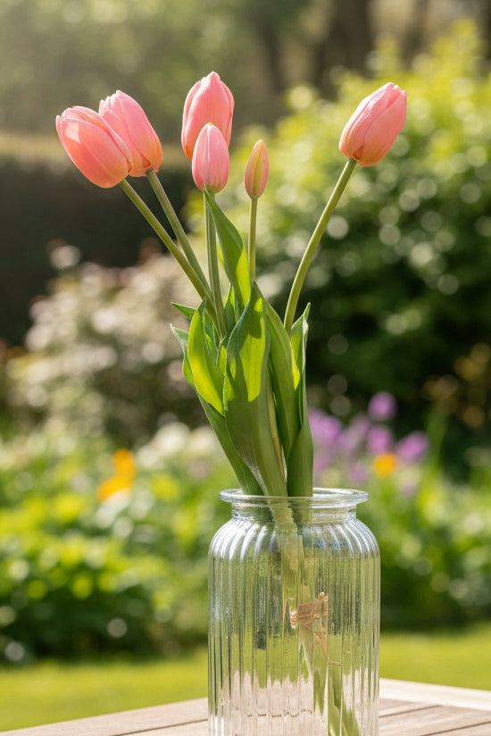 Tulipani