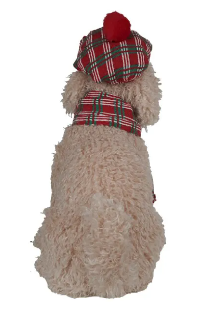 Golden Doodle Natalizio con Cappello e Sciarpa Tartan H.48 cm