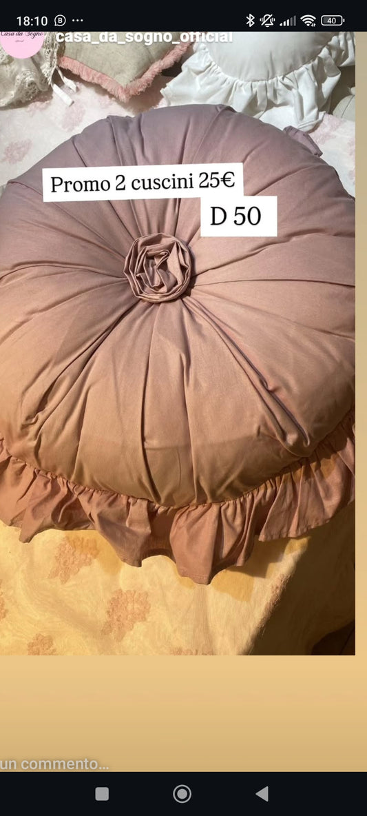 Coppia di cuscini in promo